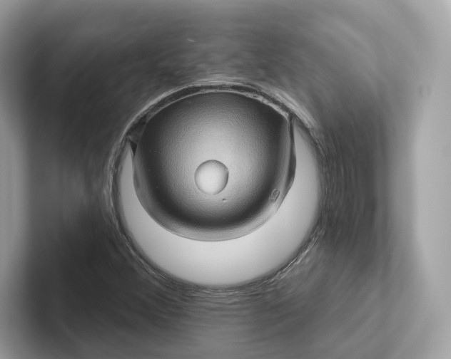 X0000101451356200807280931