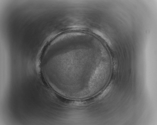 X0000101451357200807280931