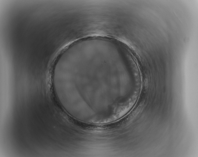 X0000101451359200807280931