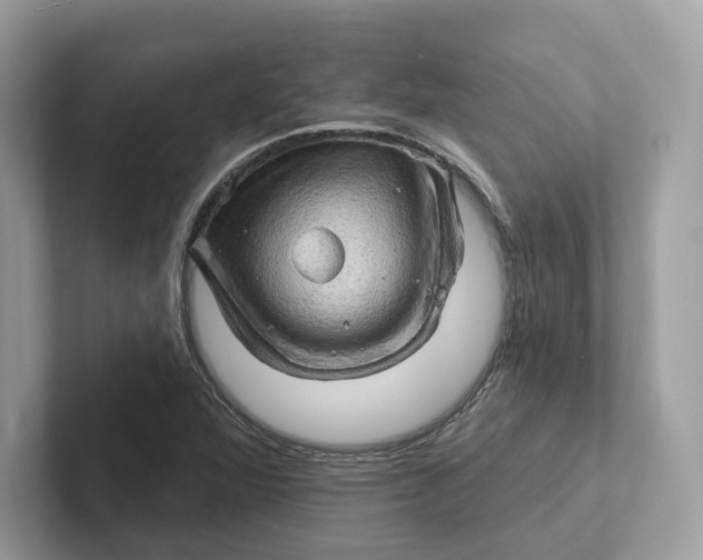 X0000101451360200807280931