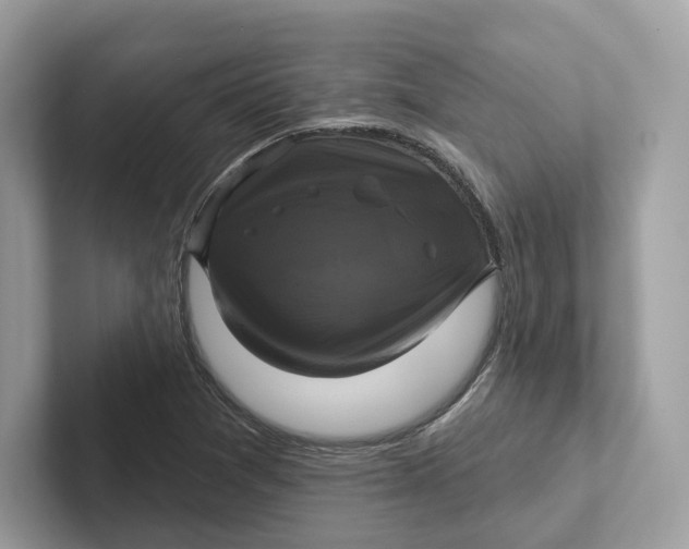 X0000101451361200807280931