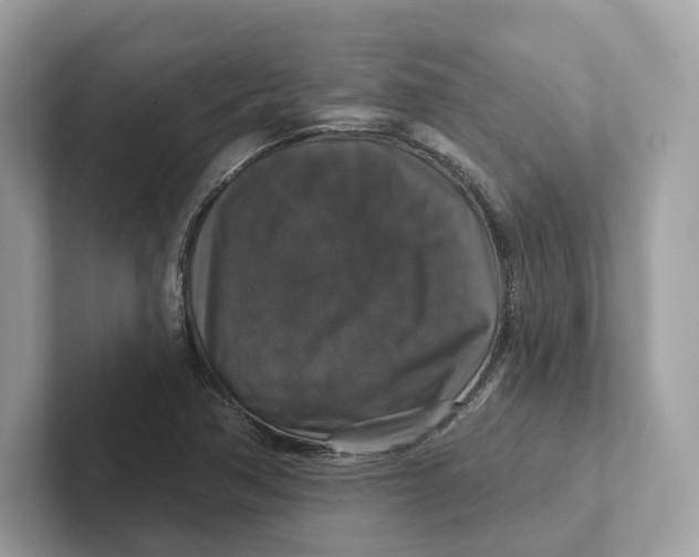 X0000101451362200807280931