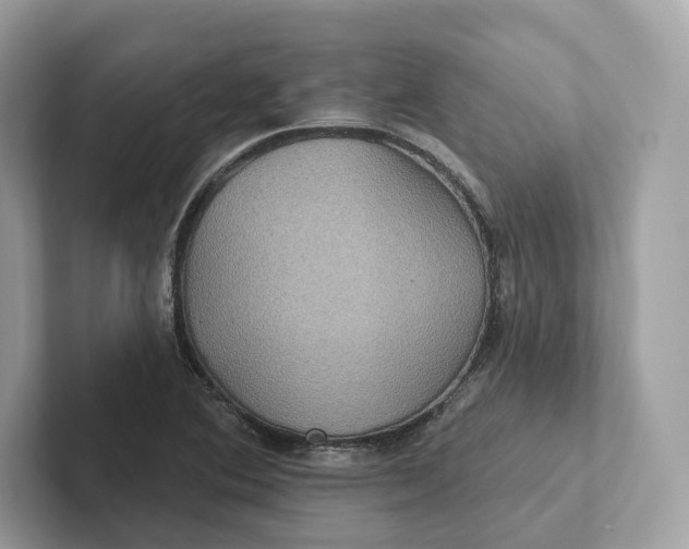 X0000101451364200807280931