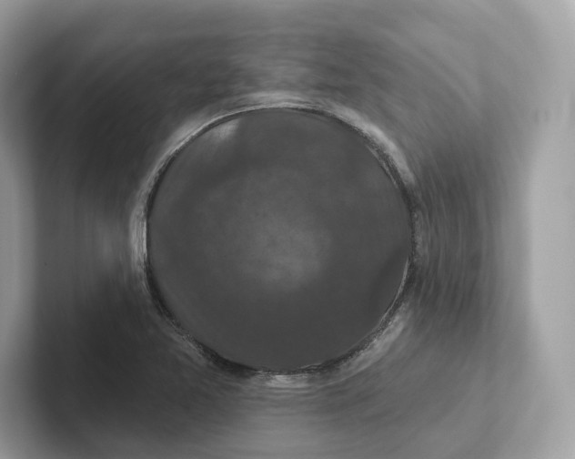 X0000101451365200807280931