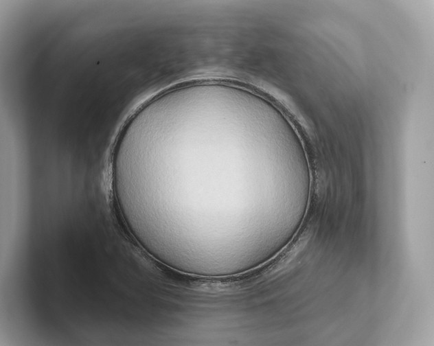 X0000101451366200807280931