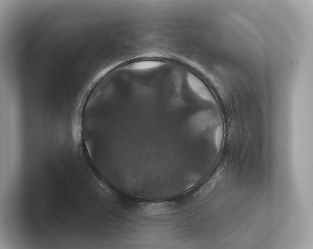 X0000101451367200807280931