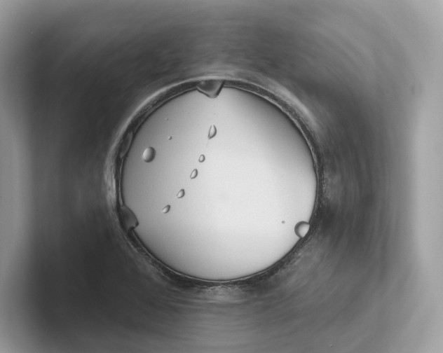 X0000101451368200807280931