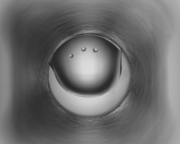 X0000101451369200807280931