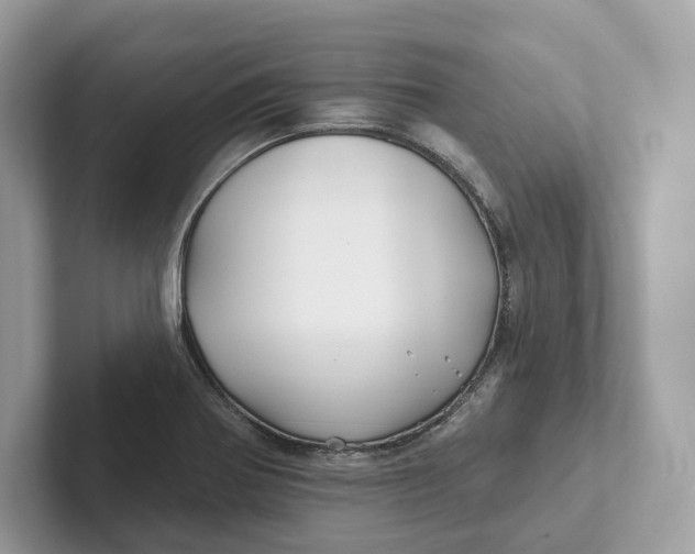 X0000101451370200807280931