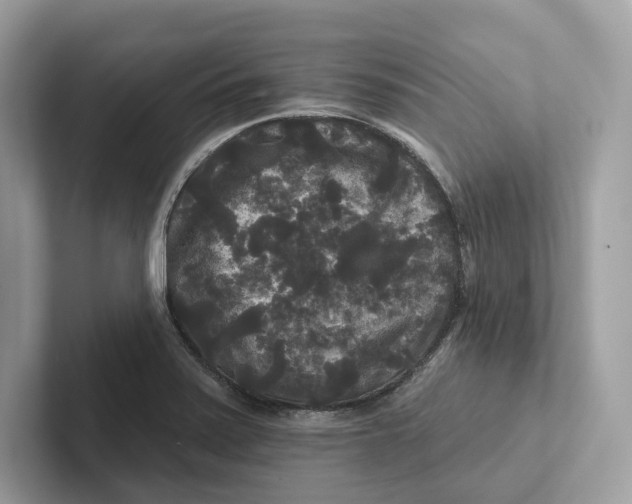 X0000101451371200807280931