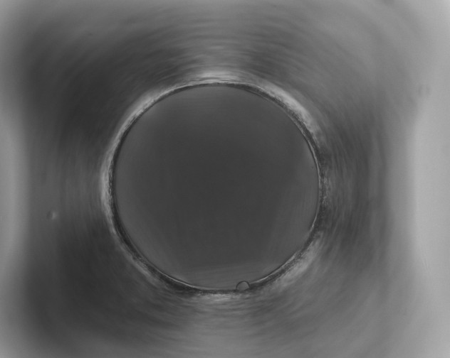 X0000101451373200807280931