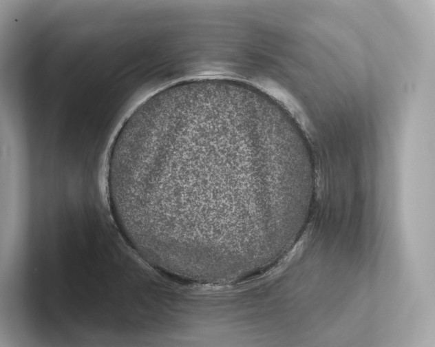 X0000101451374200807280931