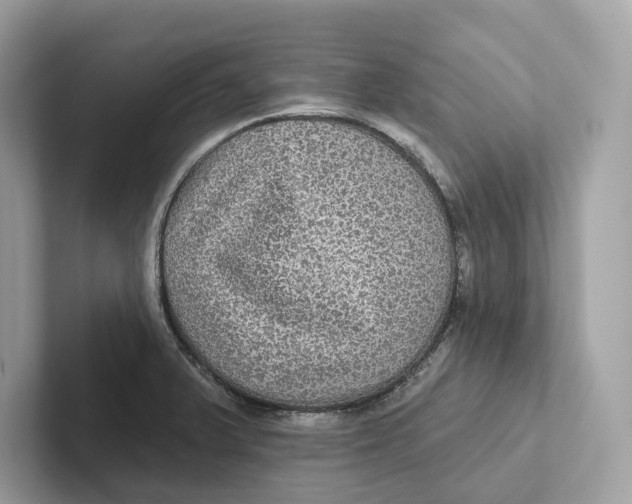 X0000101451375200807280931