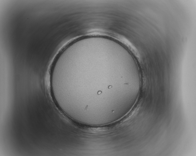 X0000101451376200807280931