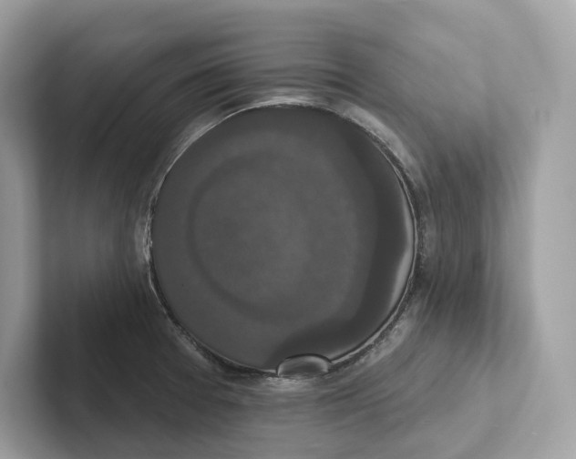 X0000101451377200807280931