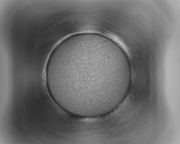 X0000101451380200807280931