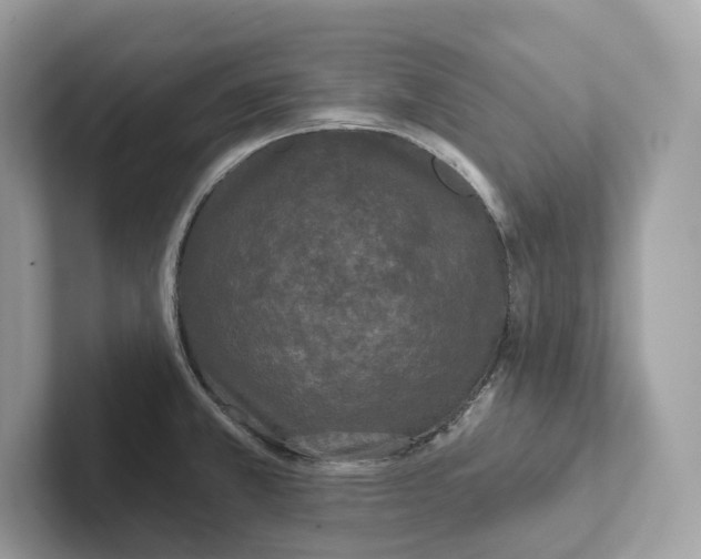 X0000101451381200807280931