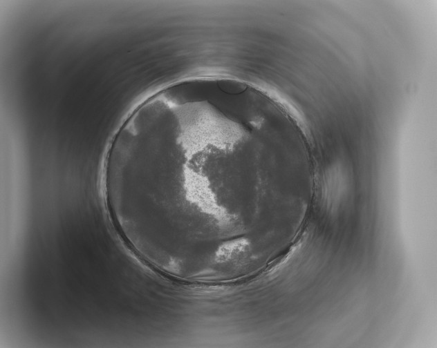 X0000101451382200807280931