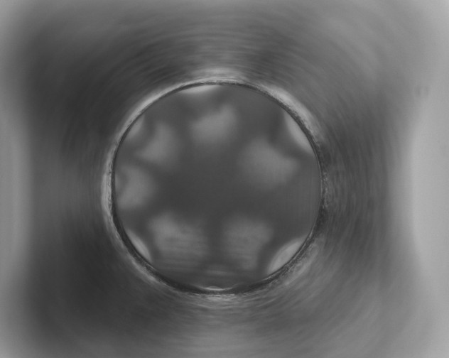 X0000101451383200807280931