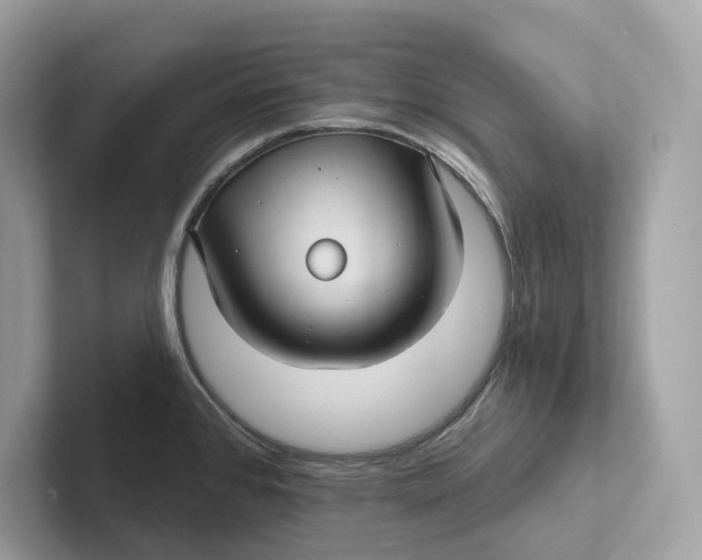 X0000101451384200807280931