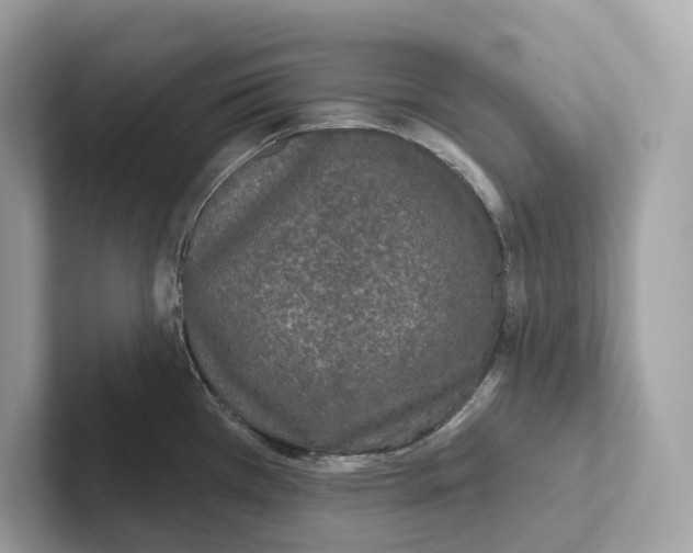 X0000101451385200807280931