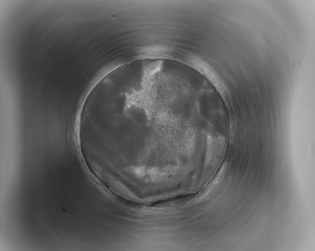 X0000101451386200807280931