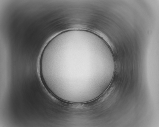 X0000101451387200807280931