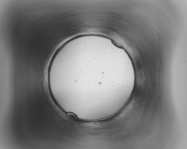 X0000101451388200807280931