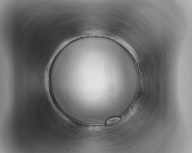 X0000101451389200807280930