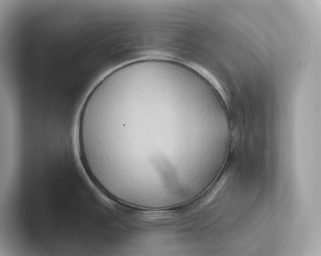 X0000101451391200807280930