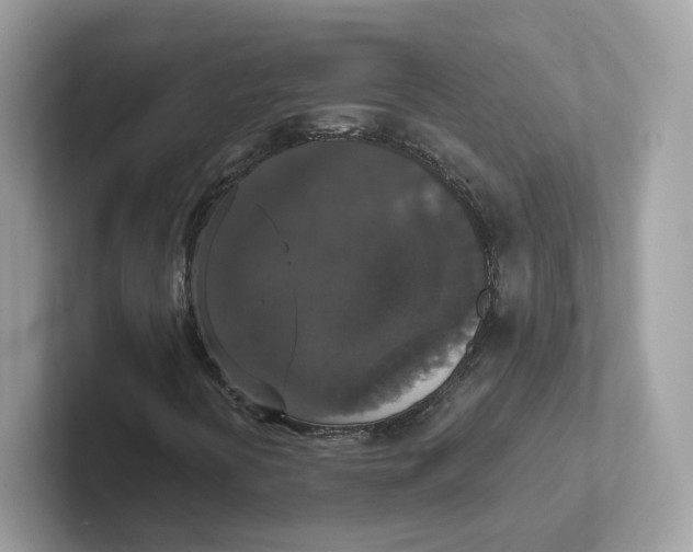 X0000101451394200807280930