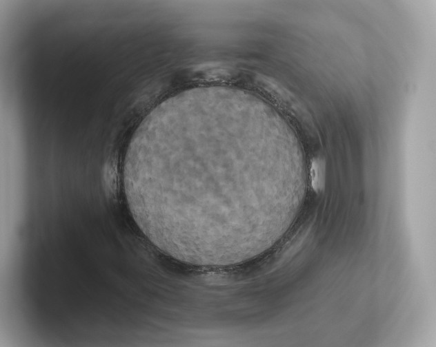 X0000101451395200807280930