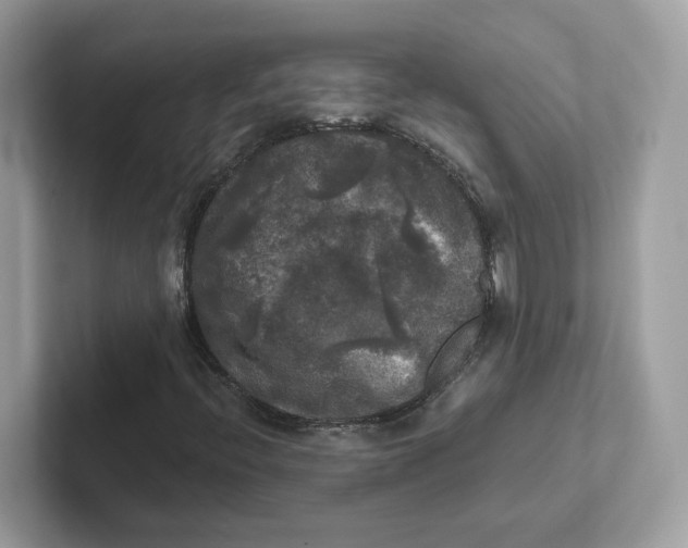 X0000101451396200807280930