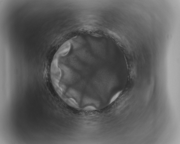 X0000101451397200807280930