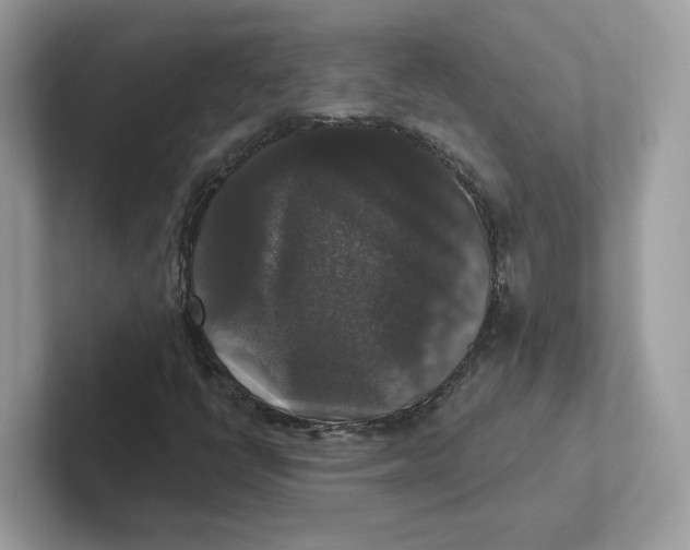 X0000101451398200807280930