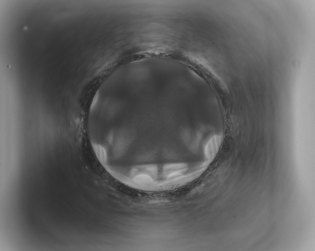 X0000101451399200807280930