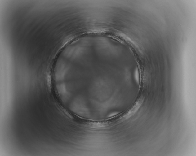 X0000101451401200807280930