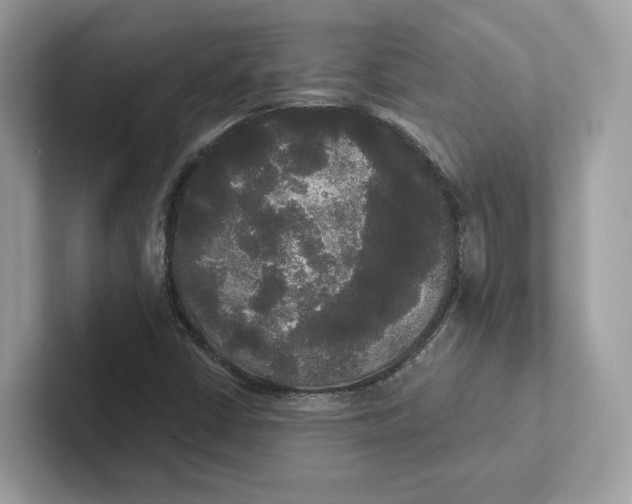 X0000101451402200807280930