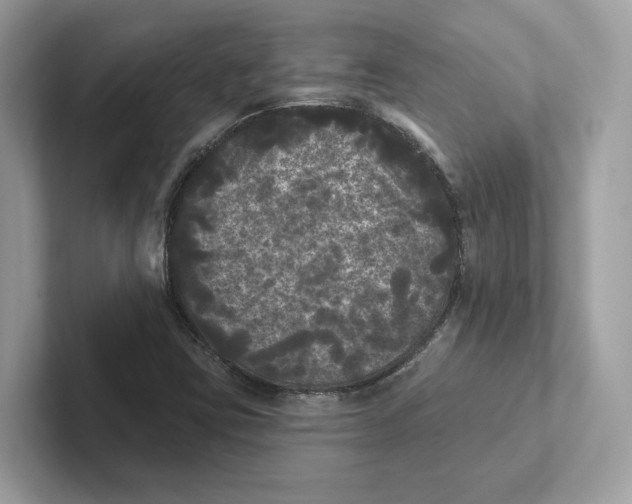 X0000101451403200807280930