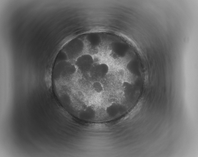 X0000101451409200807280930