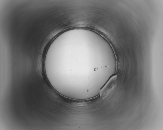 X0000101451410200807280930