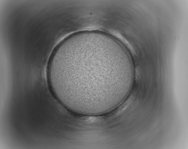 X0000101451412200807280930