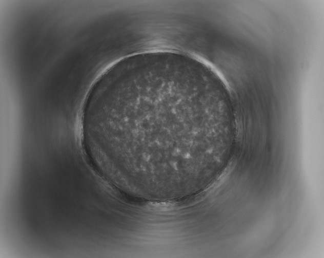 X0000101451415200807280930