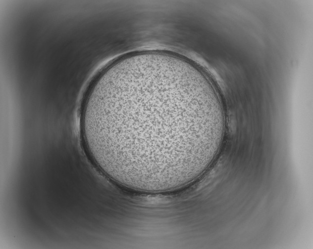 X0000101451416200807280930