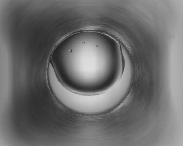 X0000101451417200807280930