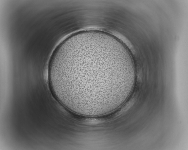 X0000101451420200807280930