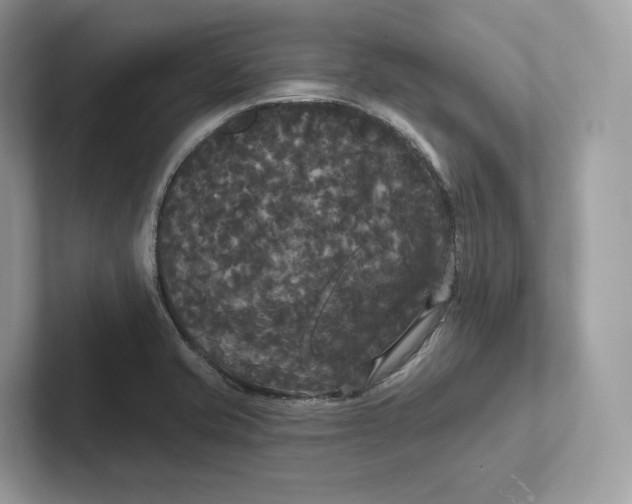 X0000101451421200807280930