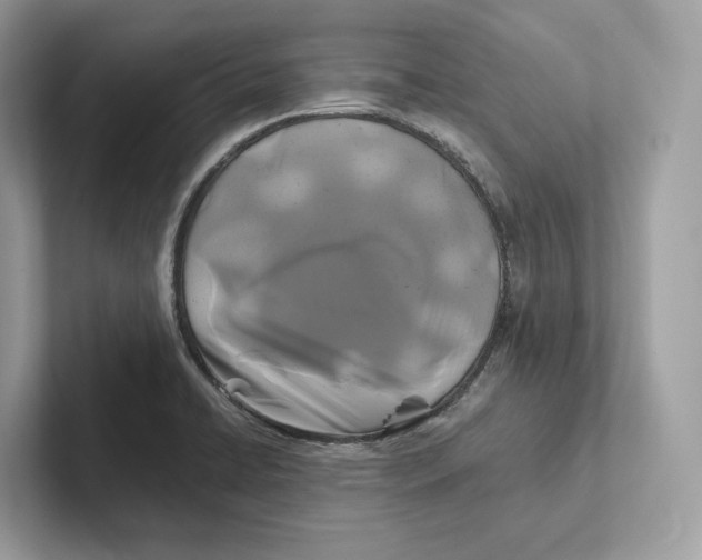 X0000101451422200807280930