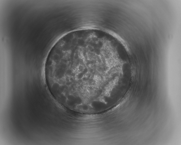 X0000101451423200807280930