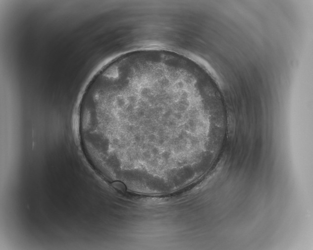 X0000101451424200807280930